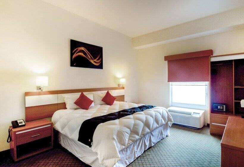 수피리어 룸, Los Herederos Hotel Piedras Negras