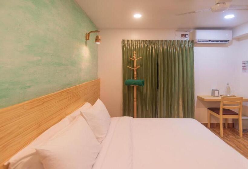 اتاق استاندارد, Turtle Maldives   Your Gateway To The Beach & Marine Adventures Await!