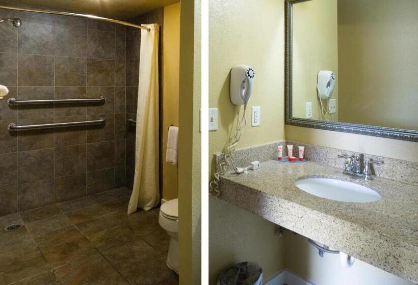 Номер Стандарт Кровать Кинг Адаптированный для Инвалидов, Woodridge Inn And Suites