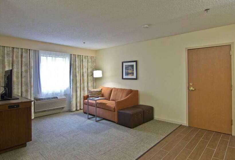 Люкс Кровать Кинг, Hampton By Hilton David