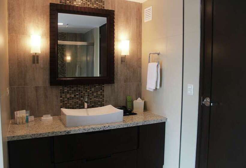 Люкс Кровать Кинг, Hampton By Hilton David