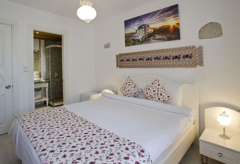 اتاق استاندارد با تخت دوبل, Lodos Butik Otel