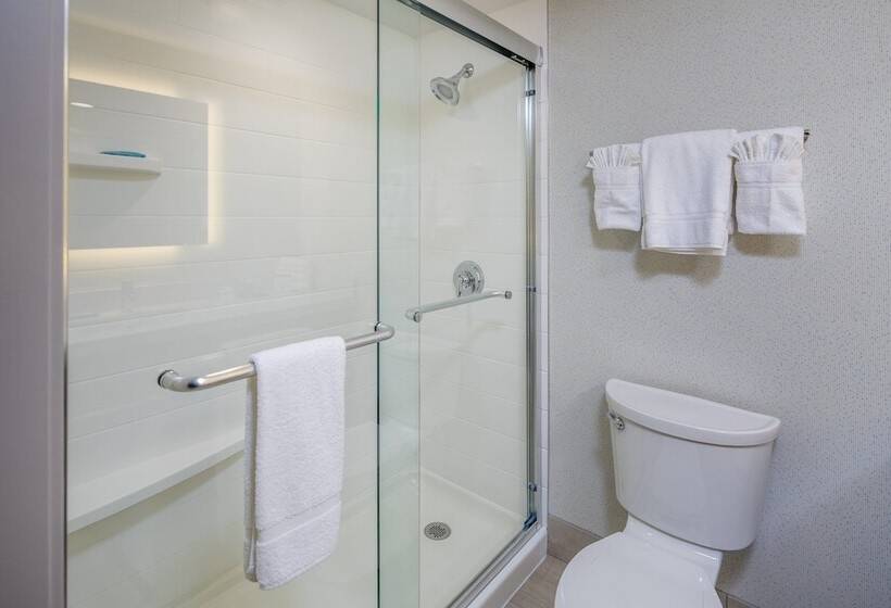 스탠다드 룸 더블 침대, Holiday Inn Express   Sunnyvale   Silicon Valley, An Ihg