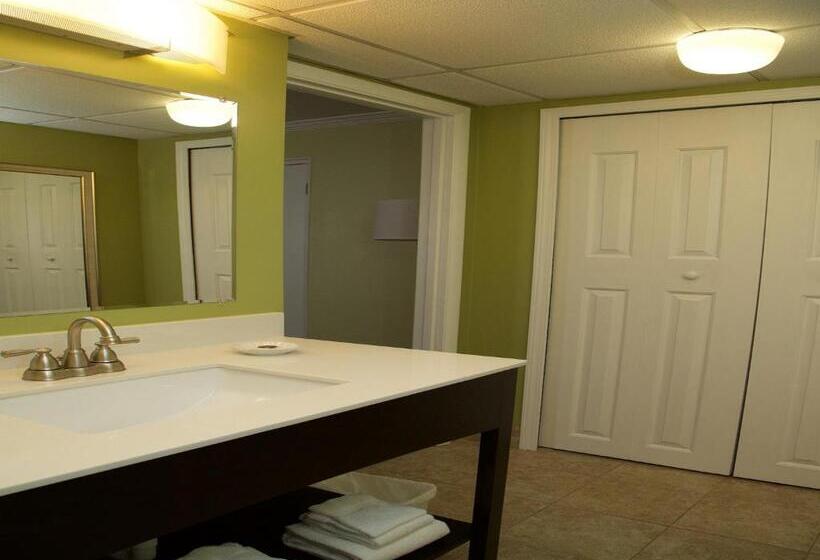 Quarto Deluxe, The University Inn At Emory