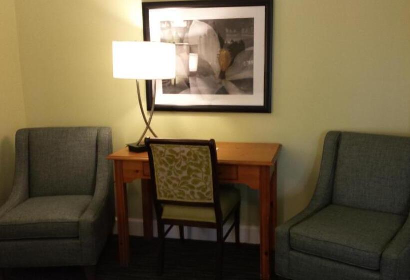 Quarto Deluxe Cama King, The University Inn At Emory