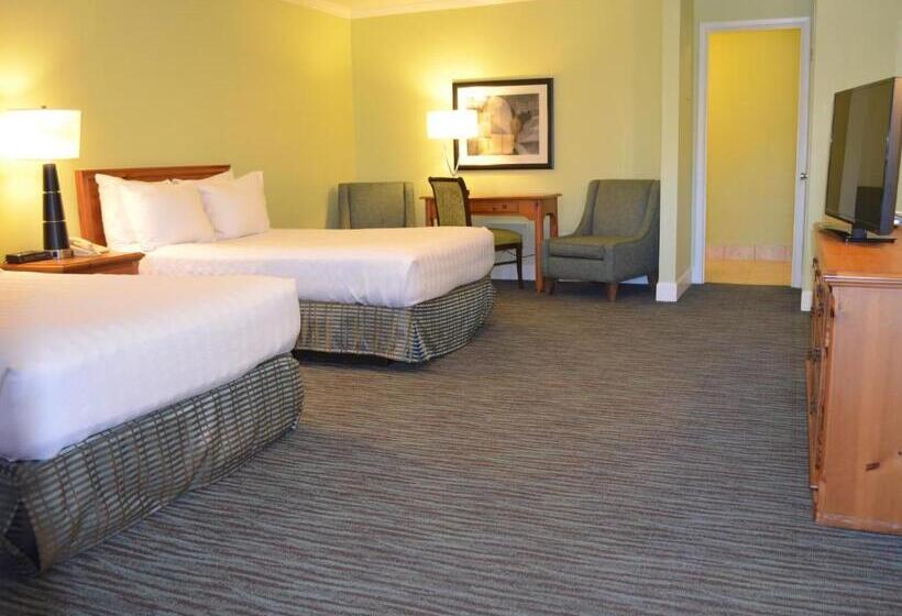 Quarto Quádruplo Deluxe, The University Inn At Emory