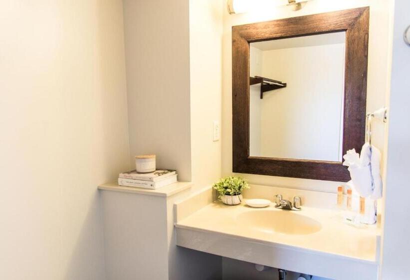 استودیو استاندارد با تخت کینگ, Vineyard Court Designer Suites