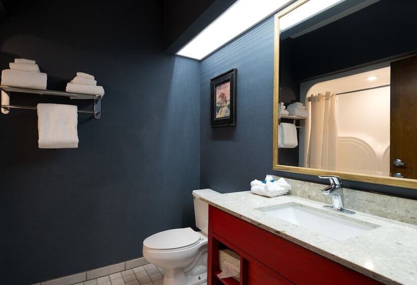 Номер Стандарт, Wildwood Lodge & Suites