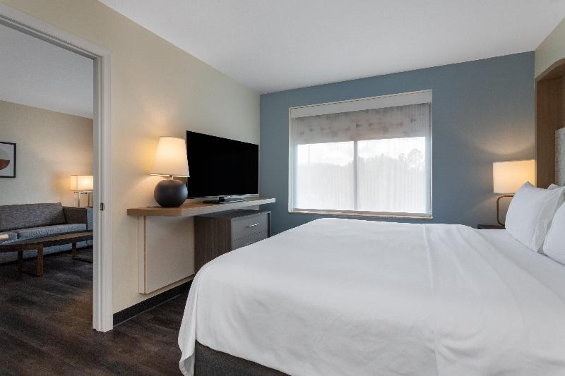 Люкс Кровать Кинг, Holiday Inn   Tampa North, An Ihg