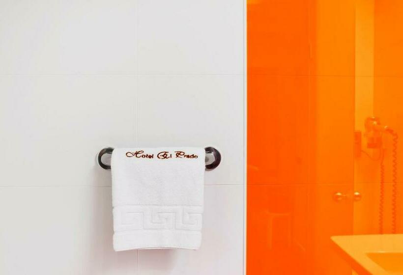 اتاق استاندارد یک نفره, Ibis Styles Madrid Prado