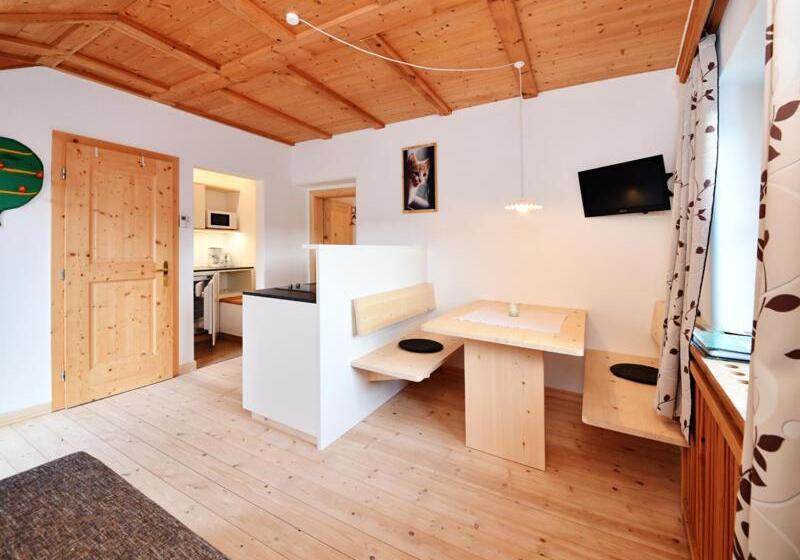 テラス付き１ベッドルームアパートメント, Rielingerhof