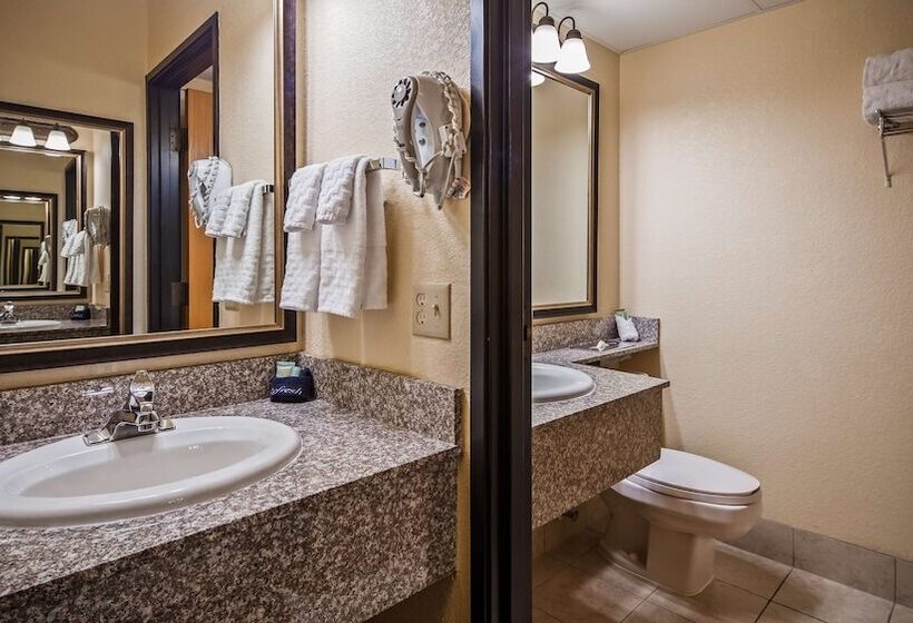 Номер Стандарт 2 Двуспальные Кровати, Best Western Center Pointe Inn