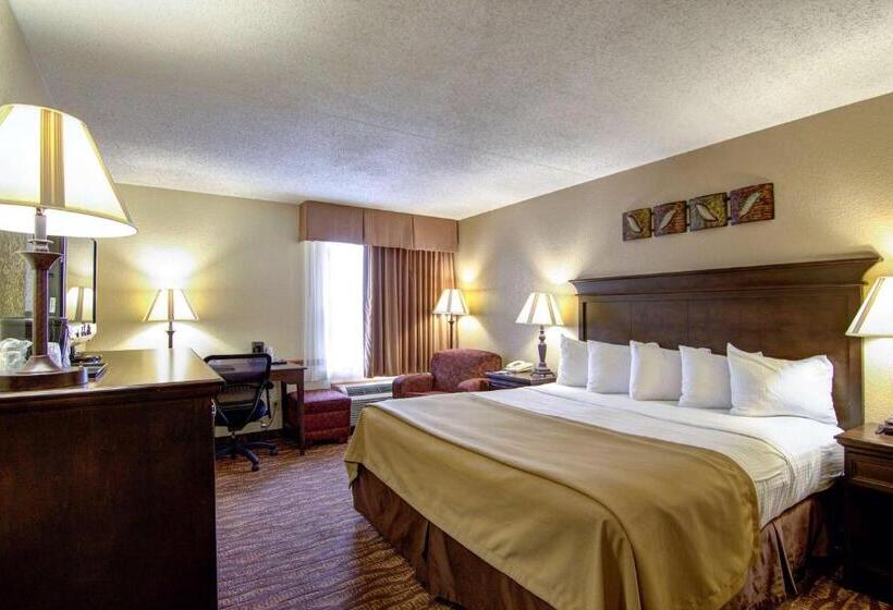 Номер Стандарт Кровать Кинг Адаптированный для Инвалидов, Best Western Center Pointe Inn