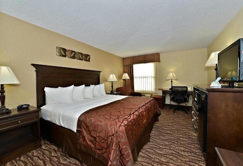 Номер Стандарт Кровать Кинг Адаптированный для Инвалидов, Best Western Center Pointe Inn