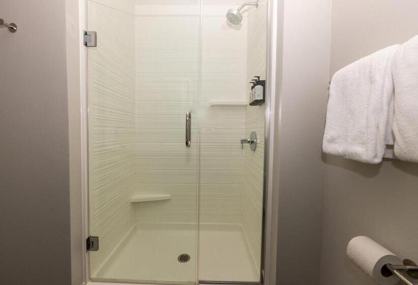 身障者適用スタンダードルーム, Avid Hotels   Denver Airport Area, An Ihg