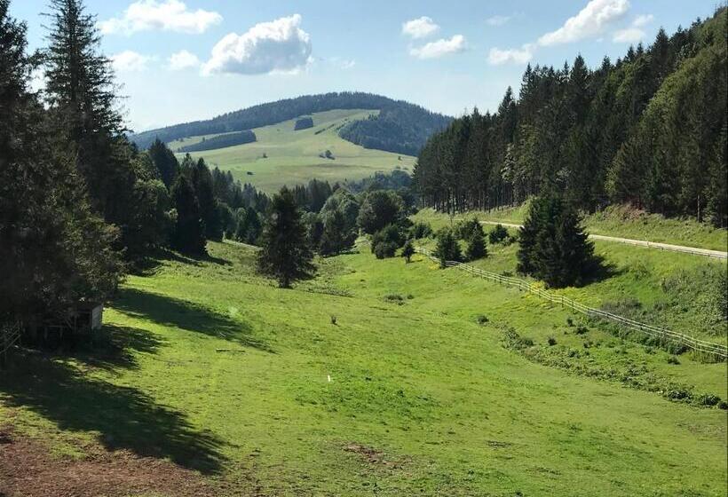 스탠다드 룸, Waldhotel Auerhahn Hochkopfhaus