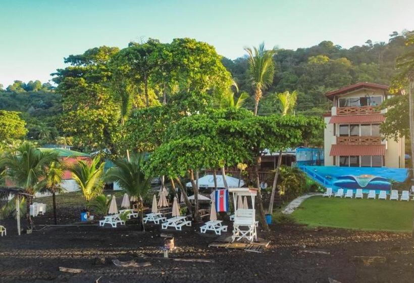 Апартаменты 1 Спальня Вид на Море, Surf Inn Hermosa