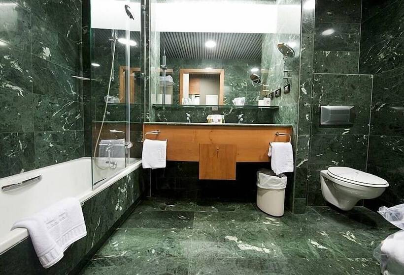 Habitación Estándar Individual, Gran Hotel Lakua