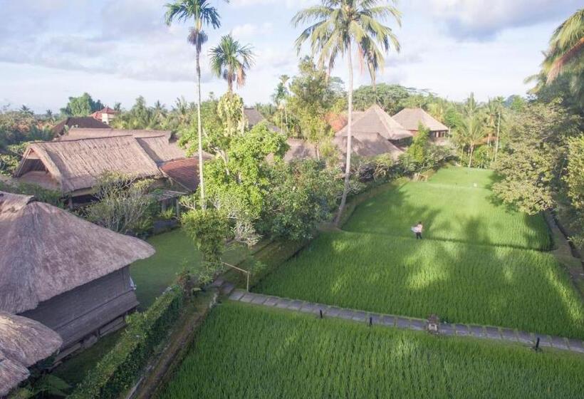 Номер Deluxe Вид на Сад, Ananda Ubud Resort