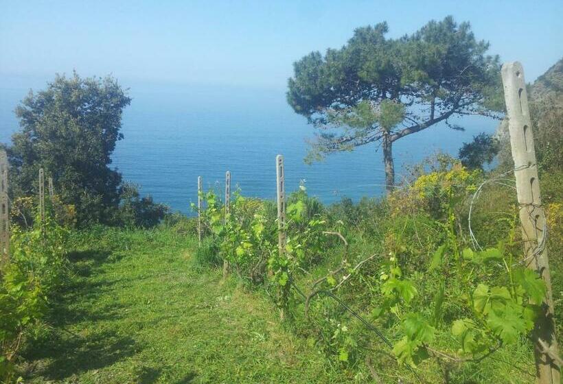 غرفة قياسية, Apartment Camere Cinque Terre Andrea