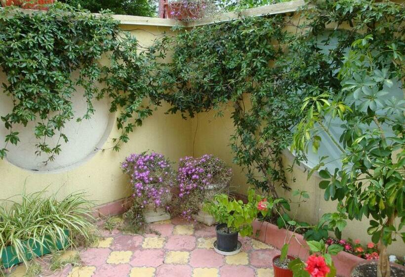 סוויטת ג'וניור, Stela Guest House