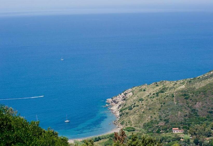 Студия Стандарт Вид на Море, Nisportino Domus