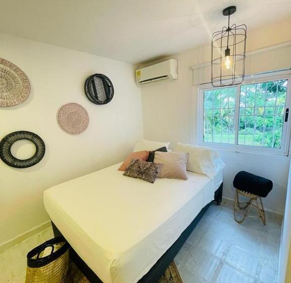 Quarto Estandar, Amaranthus