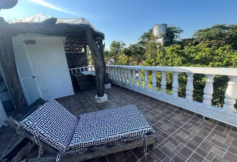 Quarto Estandar, Amaranthus