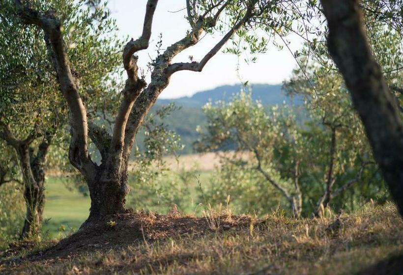 Номер Стандарт, Agriturismo Poggio Corbello