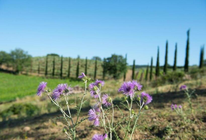 Апартаменты 2 Спальни, Agriturismo Poggio Corbello