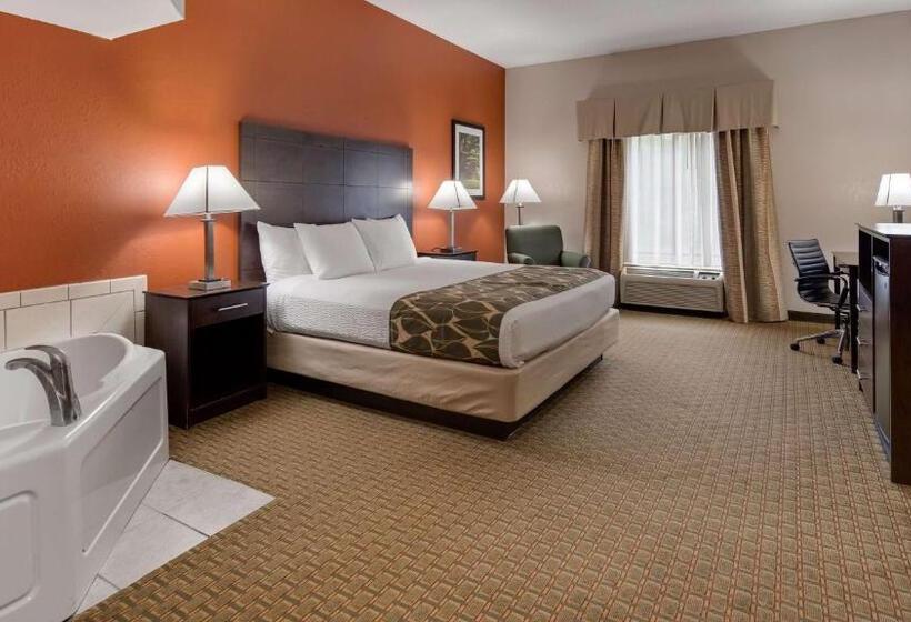 身障者適用キングサイズベッドルーム, Best Western Executive Inn   Latta