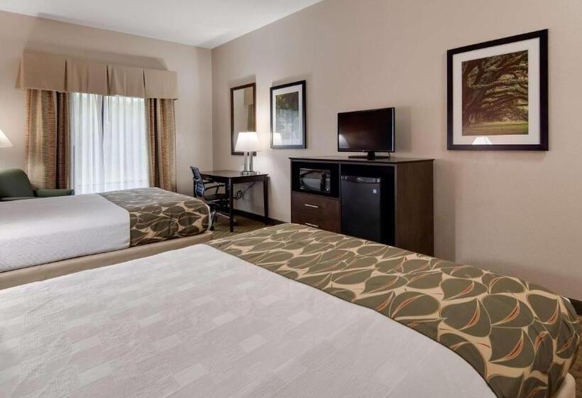 身障者適用スタンダードルーム, Best Western Executive Inn   Latta