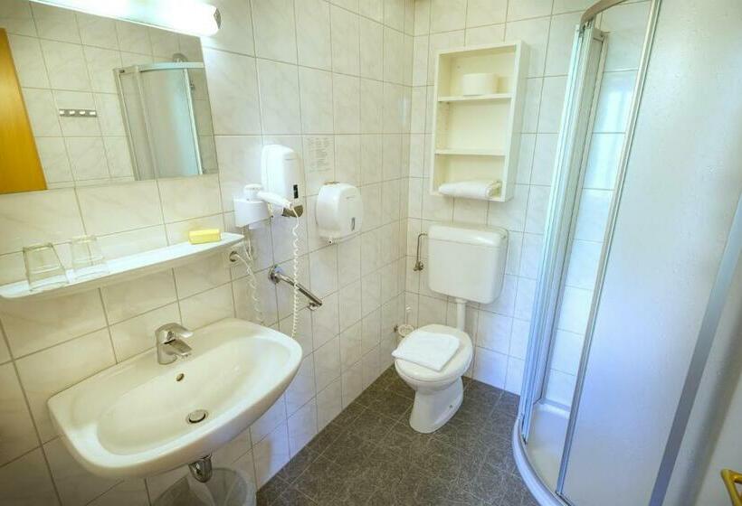 Номер Стандарт с Балконом, Friesacherhof