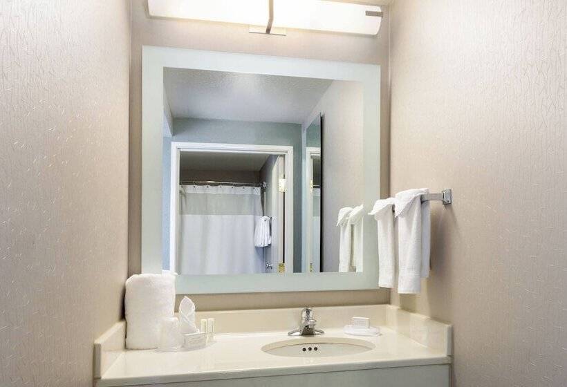 套房, Springhill Suites Louisville Hurstbourne/north