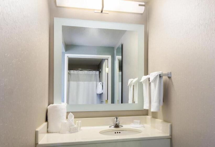 套房, Springhill Suites Louisville Hurstbourne/north