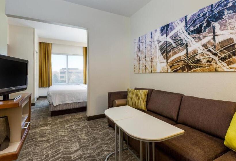 带大床的标准工作室, Springhill Suites Louisville Hurstbourne/north