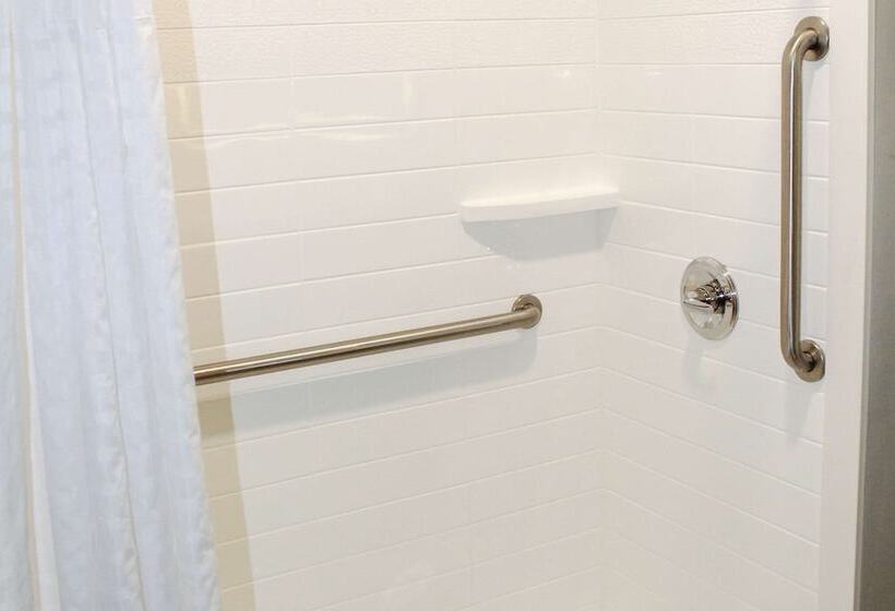 장애인을 위한 스위트, Comfort Inn & Suites Near Lake Guntersville