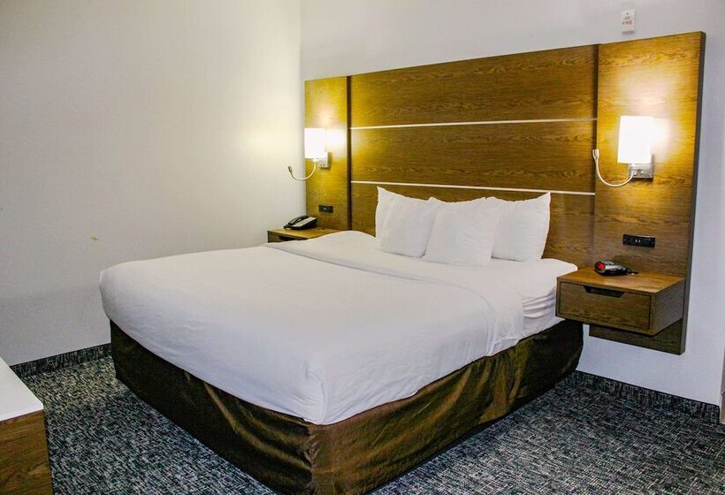 장애인을 위한 스위트, Comfort Inn & Suites Near Lake Guntersville