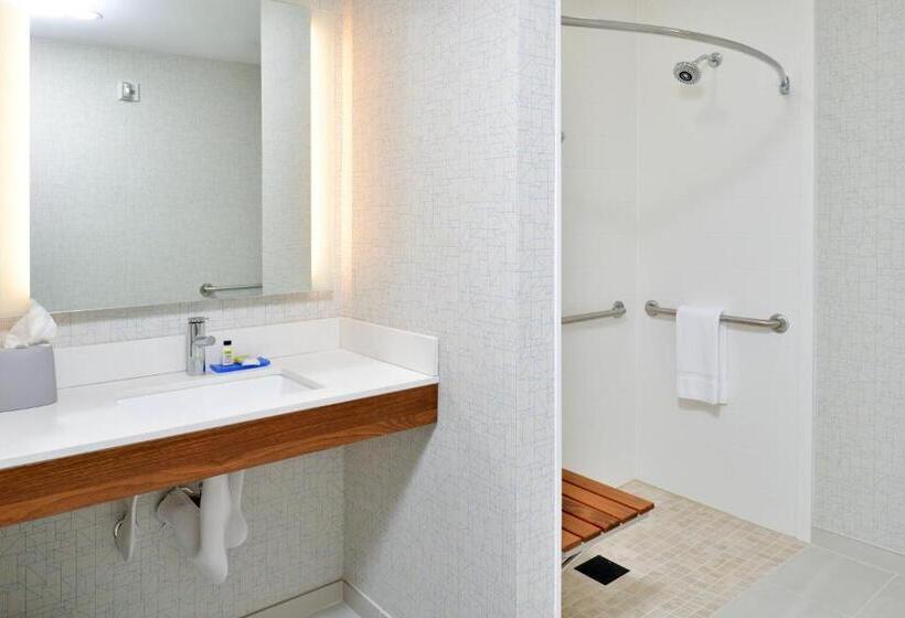 장애인을 위한 킹사이즈 침대 스탠다드 룸, Holiday Inn Express   Santa Rosa North, An Ihg