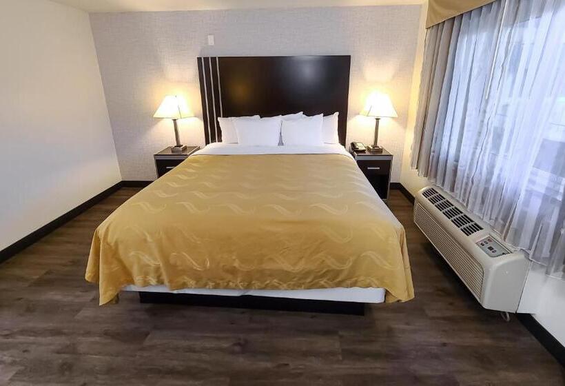 带大床的标准间, Quality Inn Burbank Airport