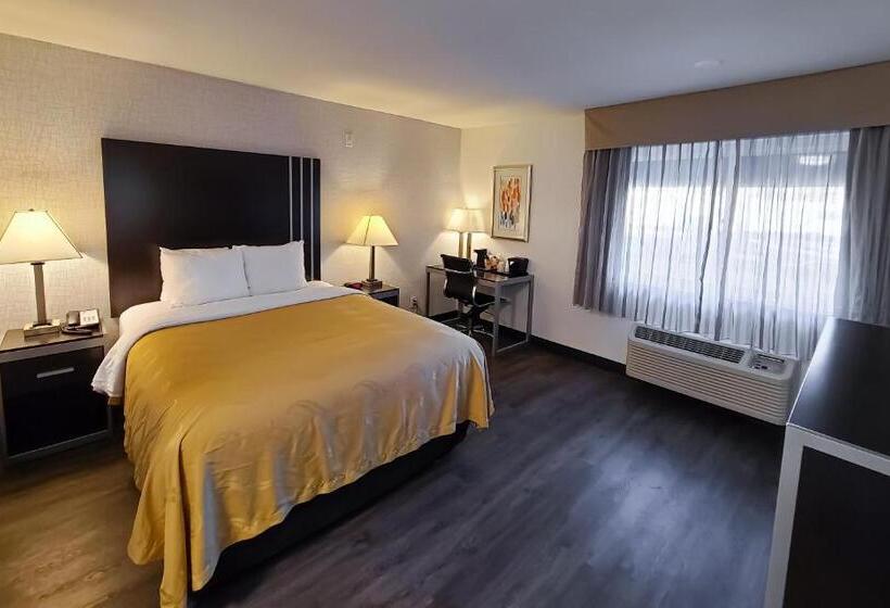标准间, Quality Inn Burbank Airport