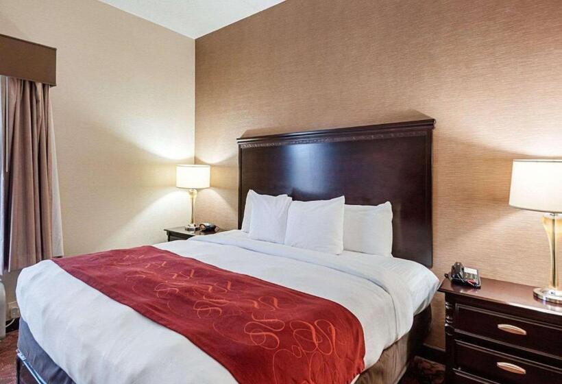 سوئیت با تخت بزرگ, Comfort Suites Dulles Airport