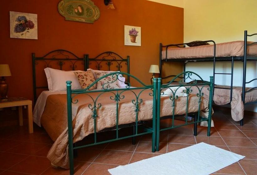 Номер Стандарт, B&b Antico Frantoio