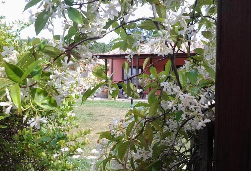 اتاق استاندارد, Agriturismo Brancatelli