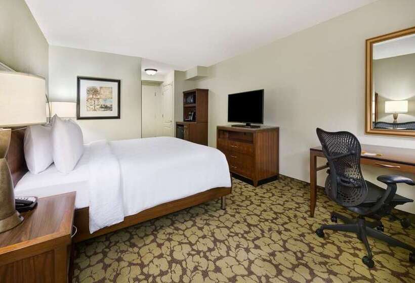 Стандартный Номер Кровать Кинг, Hilton Cologne