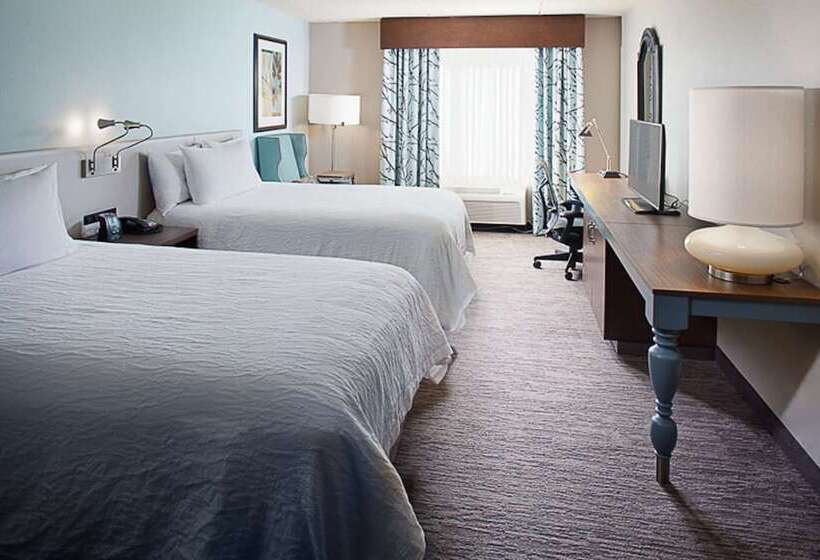 스탠다드 룸 더블 침대 2개, Hilton Garden Inn Albany Airport