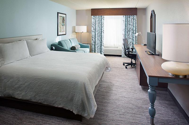 스탠다드 룸 킹사이즈 침대, Hilton Garden Inn Albany Airport