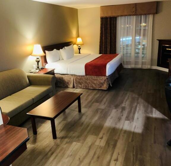 Номер Стандарт Кровать Кинг Адаптированный для Инвалидов, Ramada Plaza By Wyndham Gatineau/manoir Du Casino