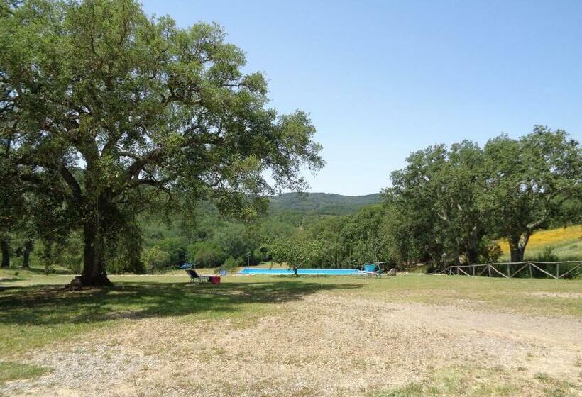 Апартаменты 1 Спальня с Видом, Agriturismo Poggio Macinaio