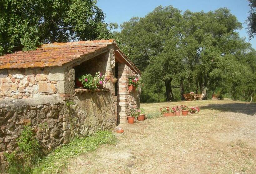 Апартаменты 1 Спальня с Видом, Agriturismo Poggio Macinaio